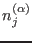 ${n_j^{(\alpha)}}$