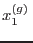 $x_1^{(g)} $