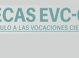 Portada Web