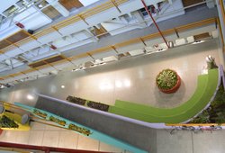 _DSC0420