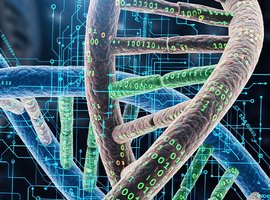 ciencias de la vida web