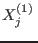 $X_j^{(1)} $
