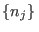 $\{n_j\} $