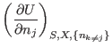 $\displaystyle \left(\frac{\partial U}{\partial n_j}\right)_{S,X,\{n_{k\neq
j}\}}$