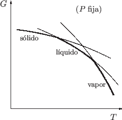 \begin{center}\vbox{\input{G(T)-fases.epic}
}\end{center}