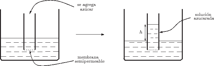 \begin{center}\vbox{\input{osmotica.epic}
}\end{center}