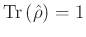 ${\rm
Tr}\,(\hat{\rho})=1$