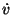 $\dot{v}$