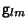 ${\sf g}_{lm}$