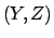 $(Y,Z)$